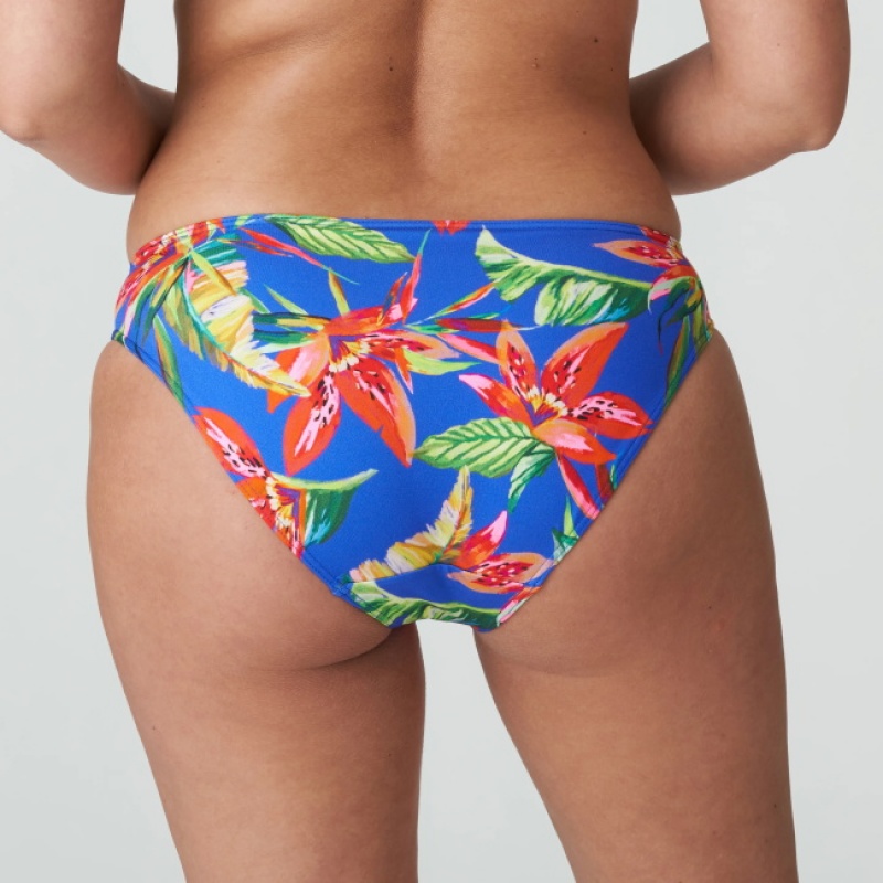 Calças De Biquíni Prima Donna Swim Latakia Multicoloridas | 683527LKD