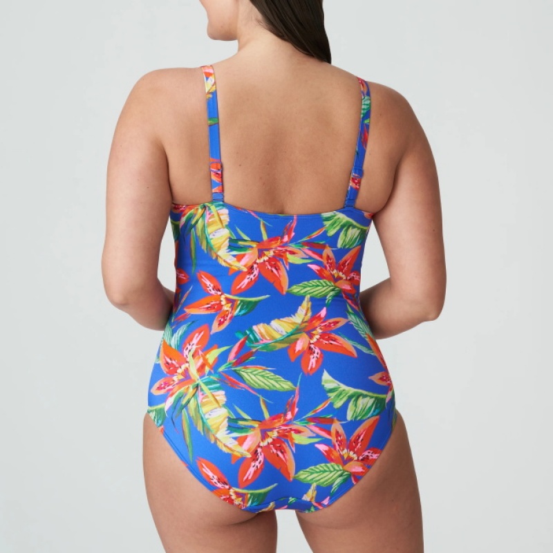 Trajes De Banho Prima Donna Swim Latakia Multicoloridas | 049672ISC